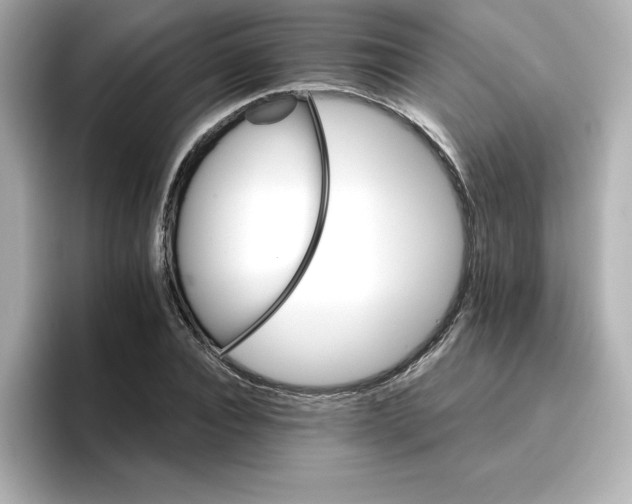 X0000096660928200802261339