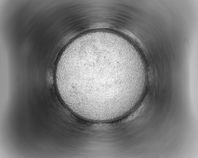 X0000096660929200802261339