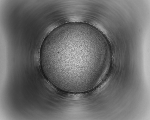 X0000096660930200802261339