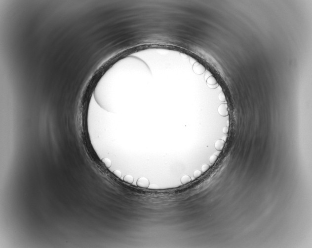 X0000096660931200802261339