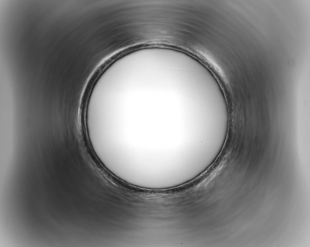 X0000096660932200802261339