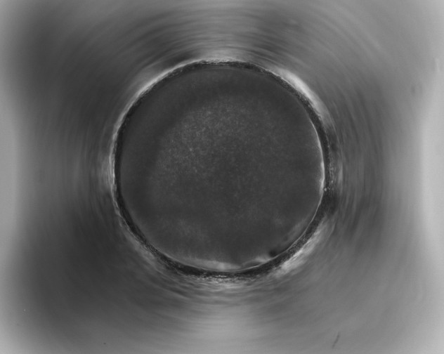 X0000096660935200802261339