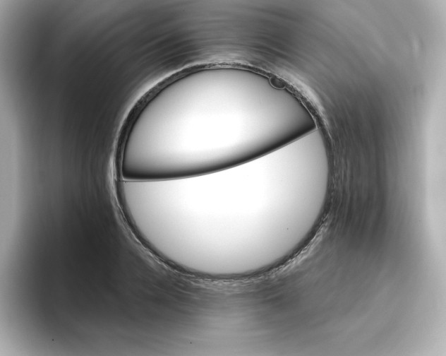 X0000096660936200802261339