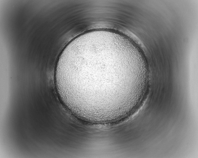 X0000096660937200802261339