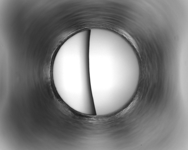 X0000096660938200802261339