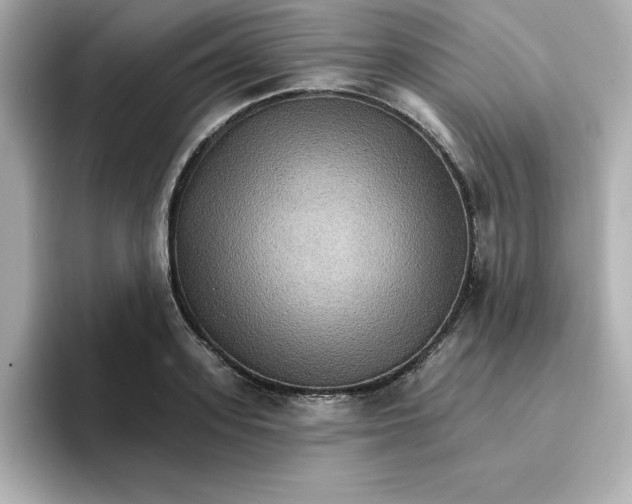 X0000096660939200802261339