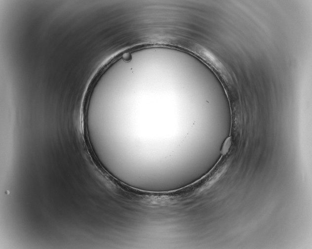 X0000096660940200802261339