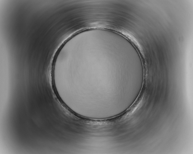 X0000096660941200802261339