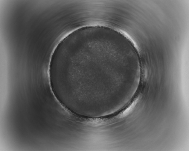 X0000096660943200802261339