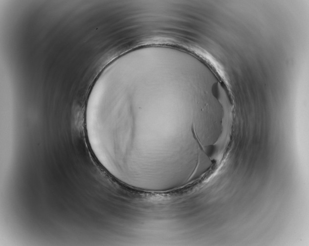 X0000096660945200802261339