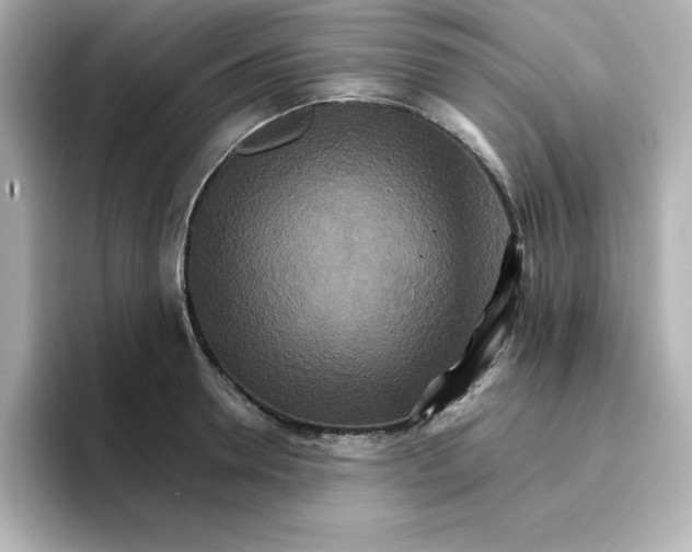 X0000096660946200802261339