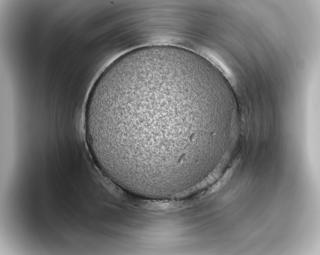 X0000096660948200802261339