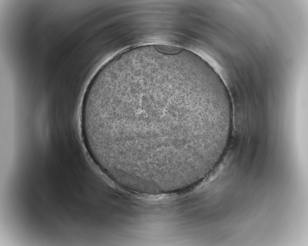 X0000096660949200802261339