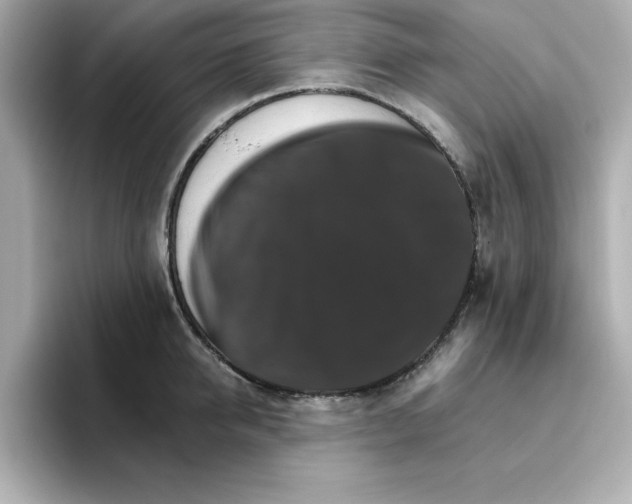 X0000096660950200802261340