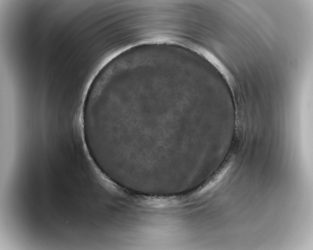 X0000096660951200802261340