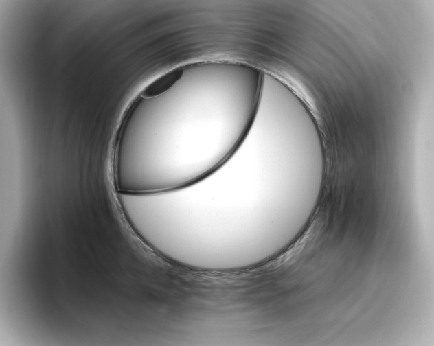 X0000096660952200802261340