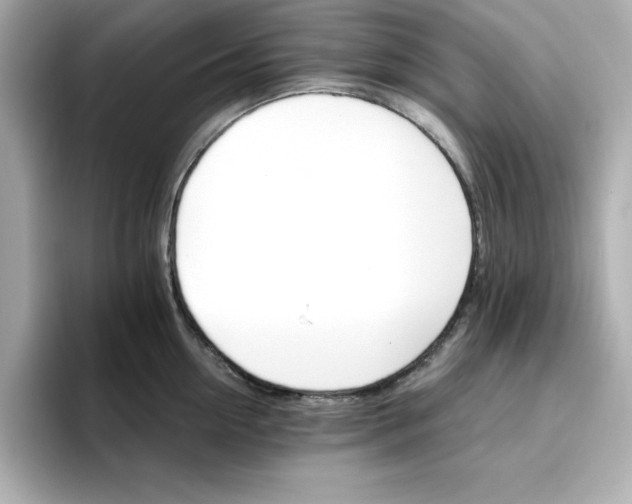 X0000096660954200802261340