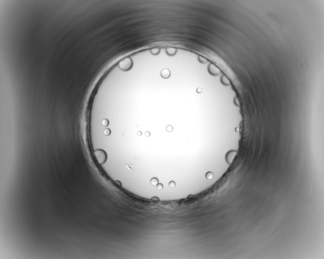 X0000096660955200802261340