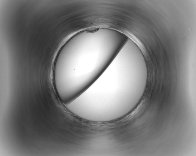 X0000096660956200802261340