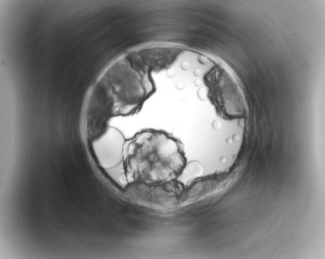 X0000096660957200802261340