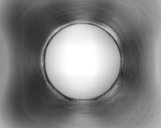 X0000096660958200802261340