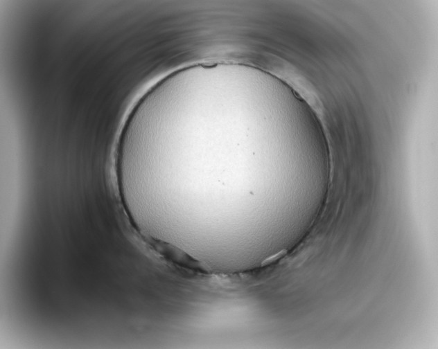 X0000096660960200802261340