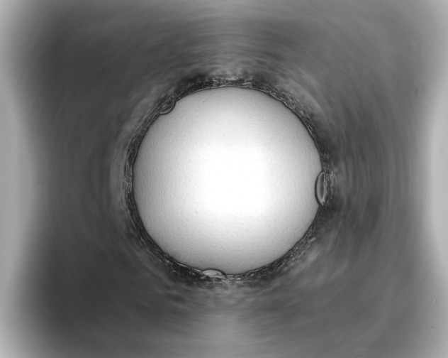 X0000096660961200802261339