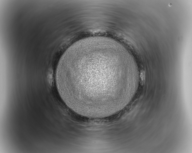 X0000096660963200802261339