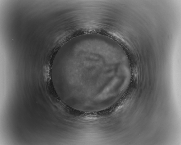 X0000096660964200802261339