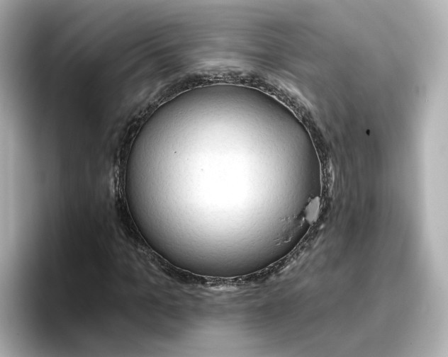 X0000096660965200802261339