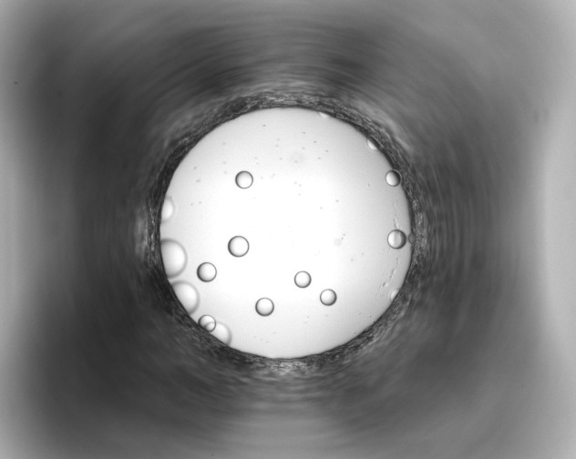 X0000096660966200802261339