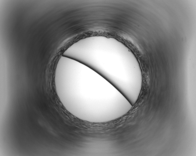 X0000096660968200802261339