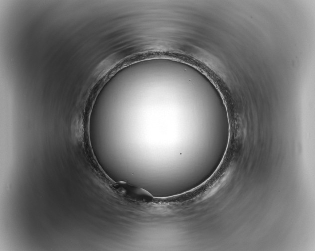 X0000096660969200802261339