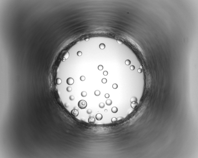 X0000096660970200802261339