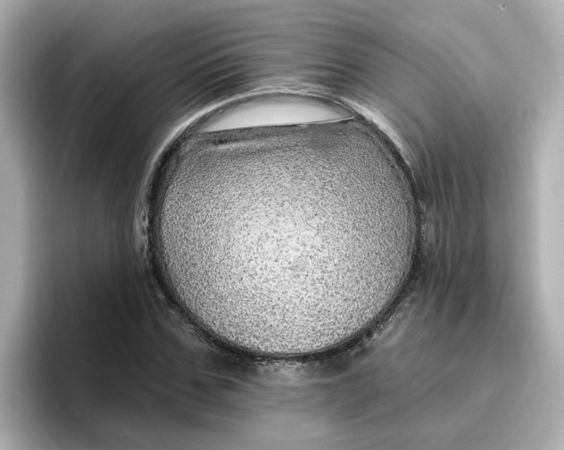 X0000096660971200802261339