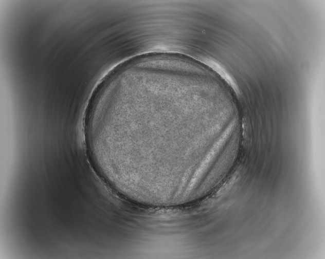 X0000096660972200802261339