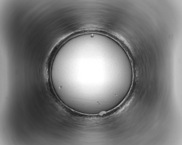 X0000096660973200802261339