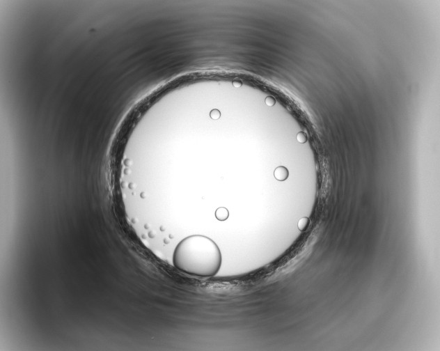 X0000096660974200802261339