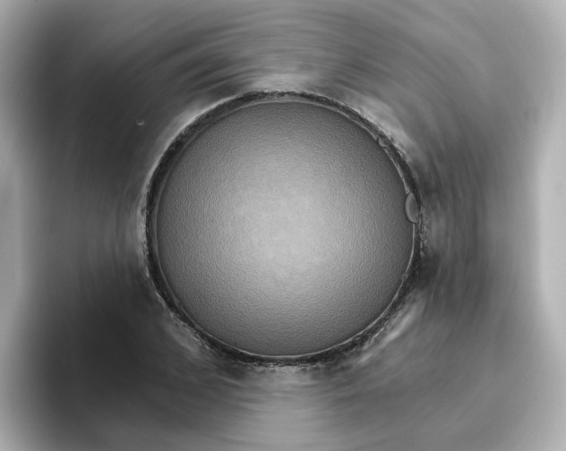 X0000096660976200802261339