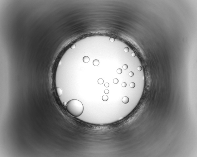 X0000096660978200802261339