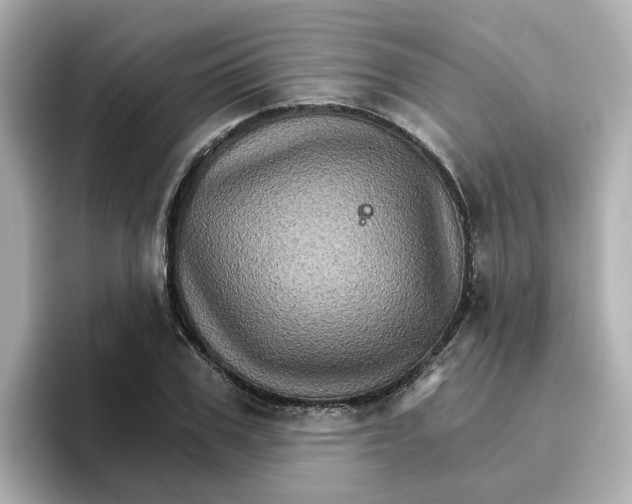 X0000096660979200802261339