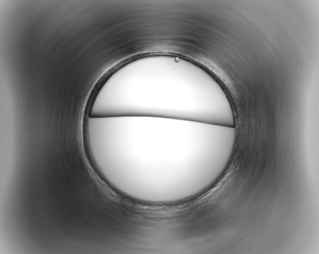 X0000096660980200802261339