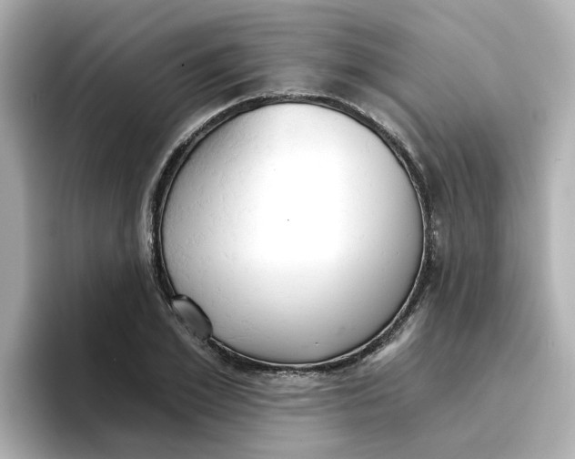 X0000096660981200802261339