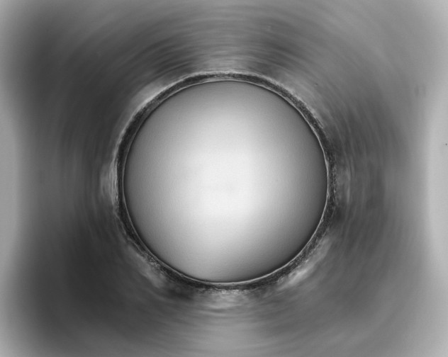 X0000096660982200802261339