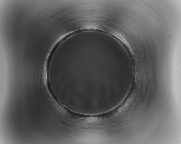 X0000096660984200802261339