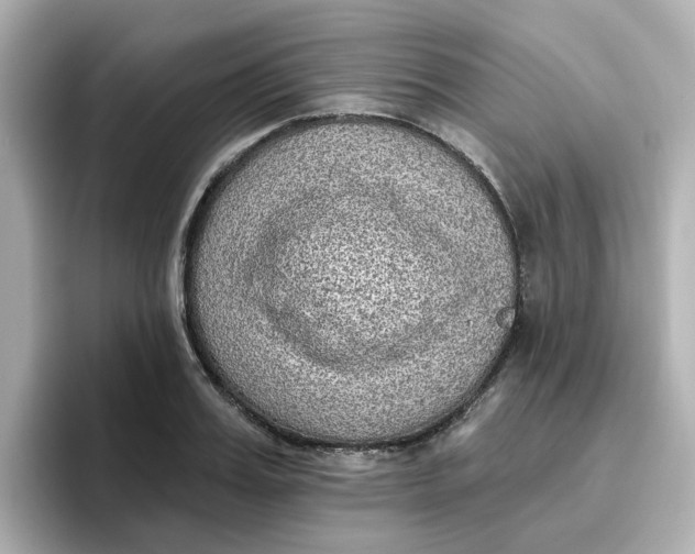 X0000096660987200802261339