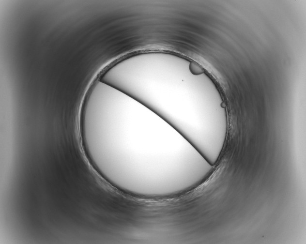 X0000096660988200802261339