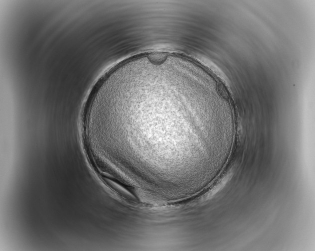 X0000096660989200802261339