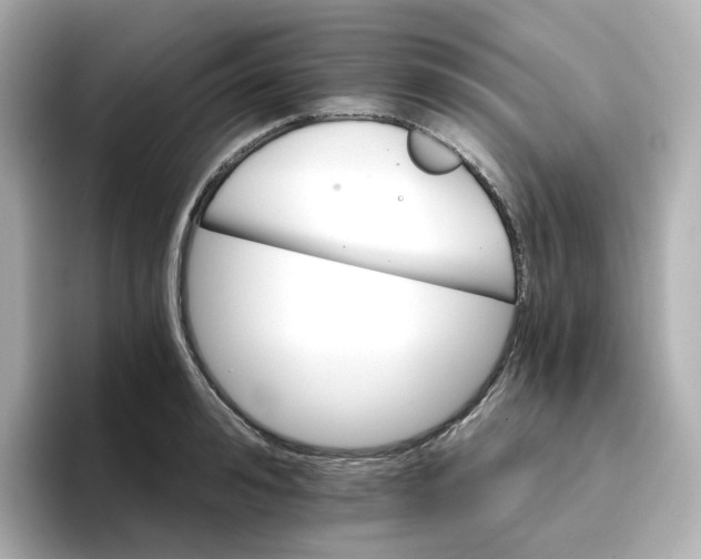 X0000096660992200802261339