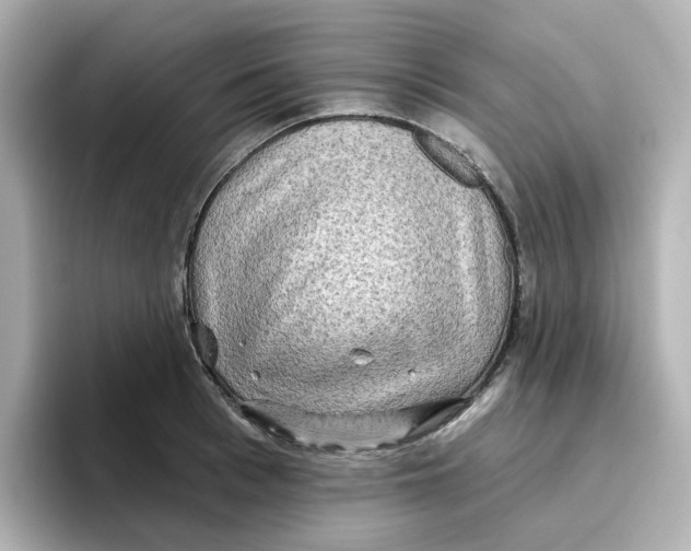 X0000096660993200802261339